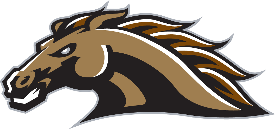 Western Michigan Broncos 1998-Pres Secondary Logo diy fabric transfer
